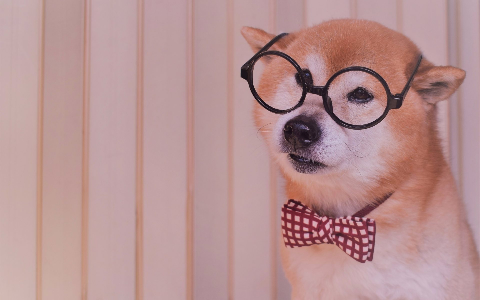 性格占い 誕生日 生年月日で当たる あなたの運勢 性格診断 無料占い Keiko ルナロジー占い